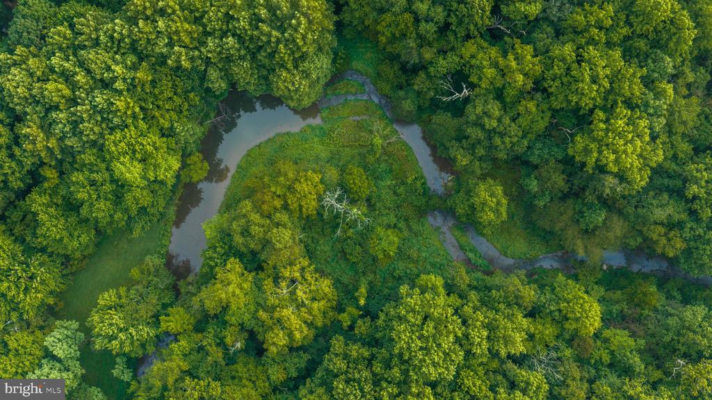 A winding creek curves through dense green woodland.
