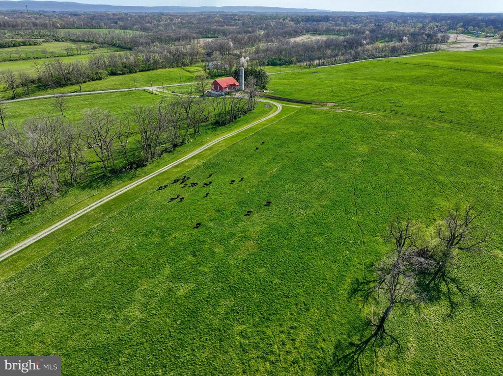 197 BARNSTABLE ROAD