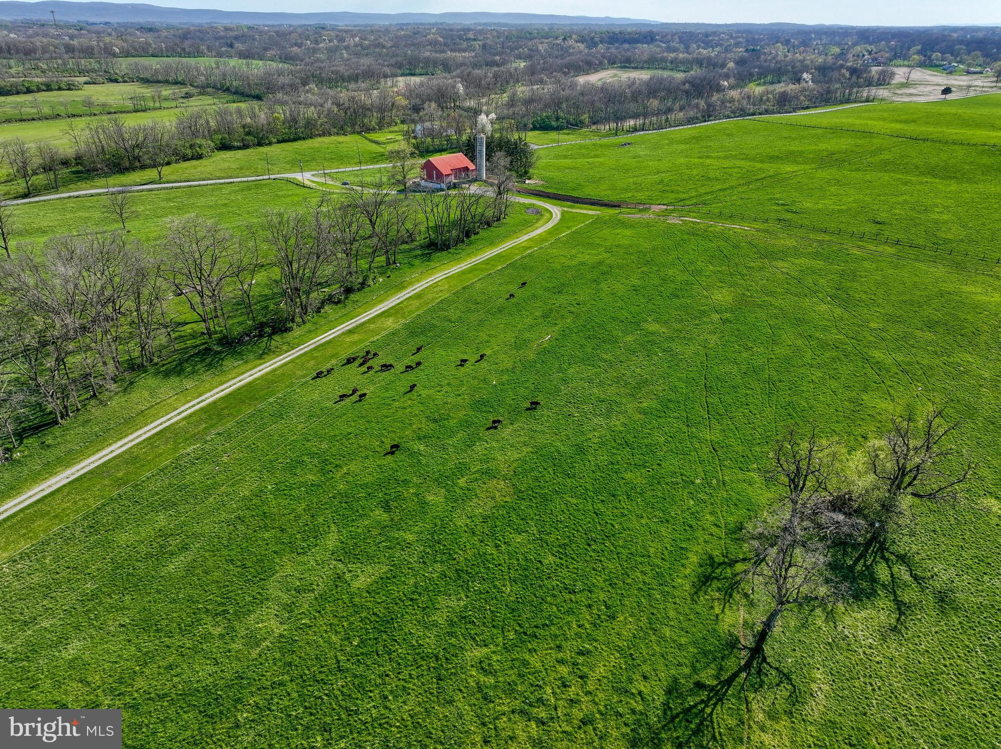 197 BARNSTABLE ROAD