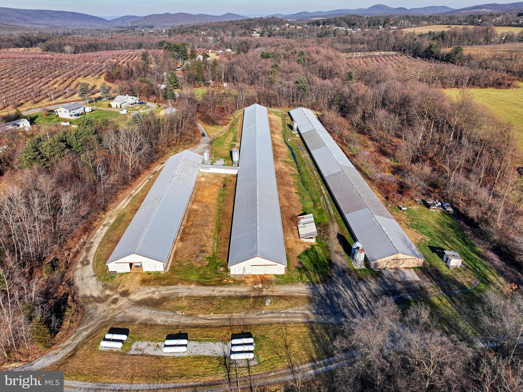 Aerial view of three long barns amid winter-bare woods, fields, and distant mountains.