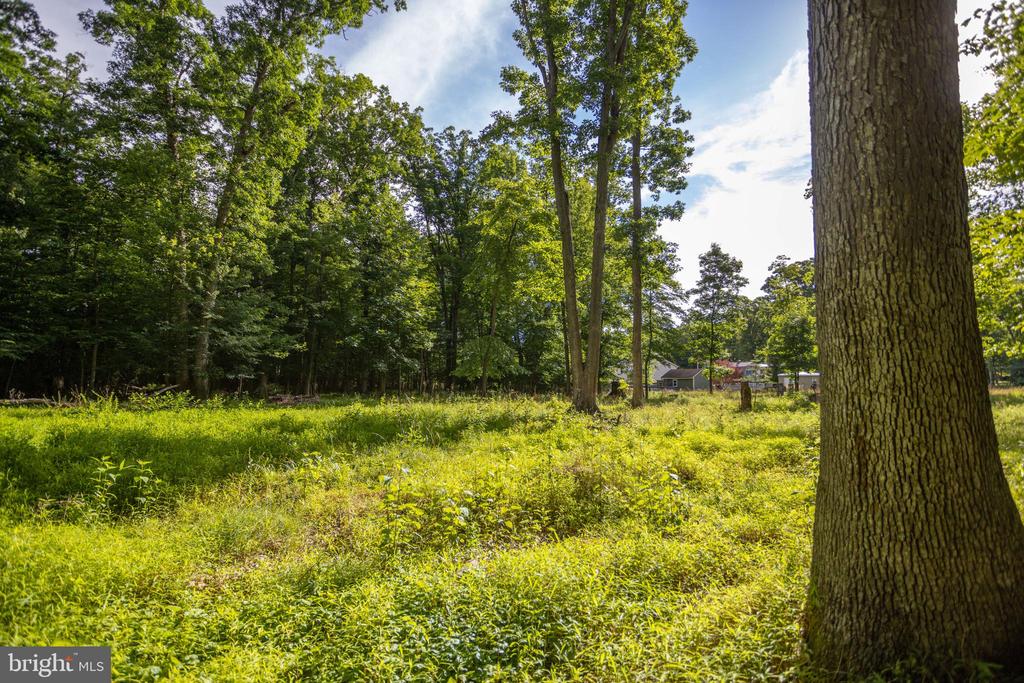 110 COLD SPRINGS ROAD