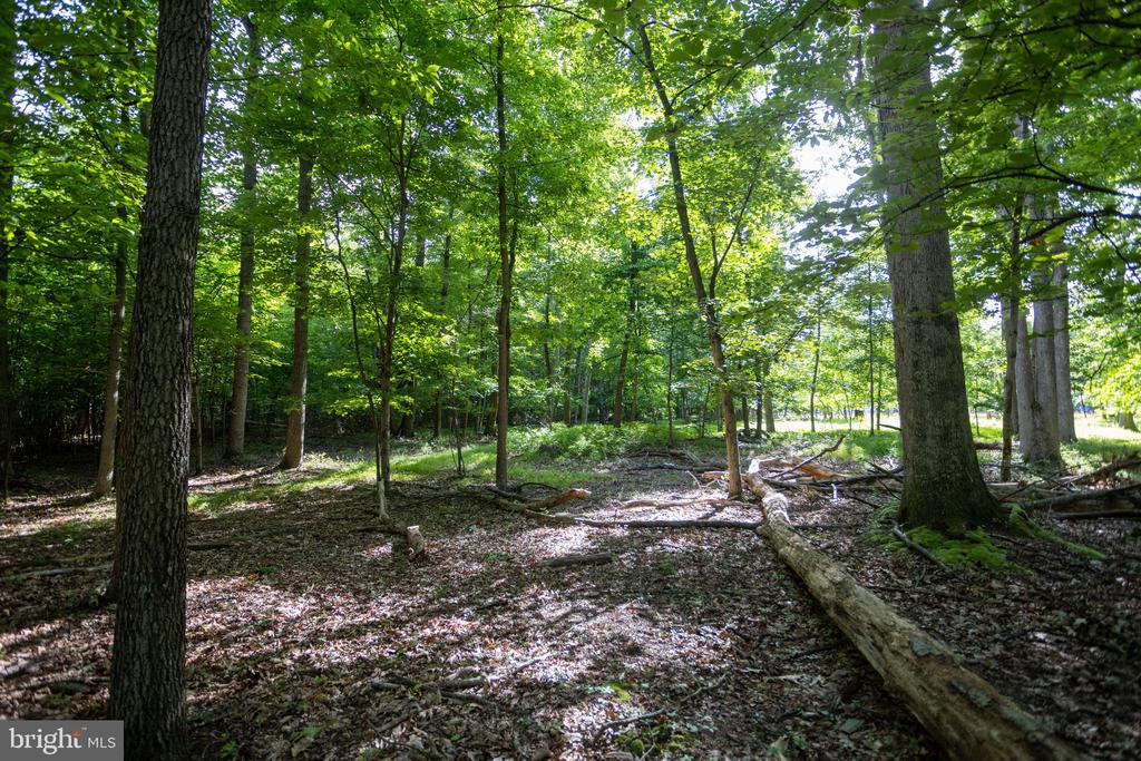 110 COLD SPRINGS ROAD