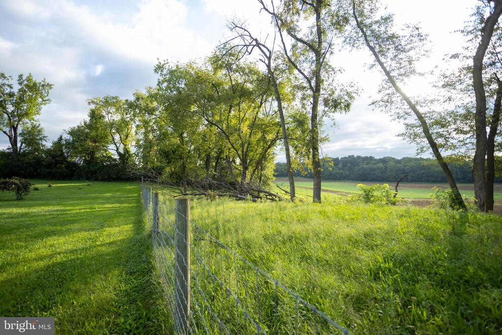 Grassy rural lot with a wire fence, mature trees, and open fields beyond.