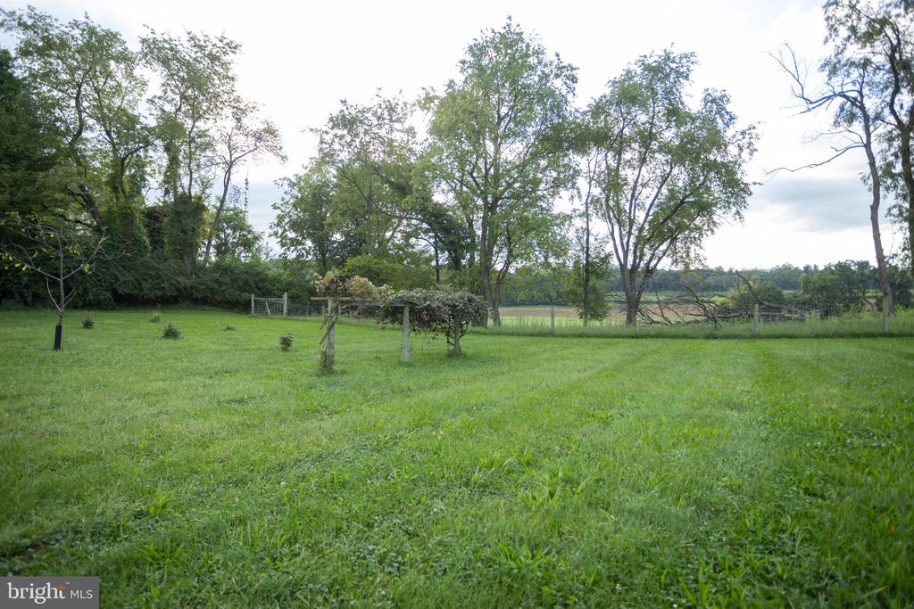 Grassy yard with mature trees, a garden trellis, and open fields beyond.