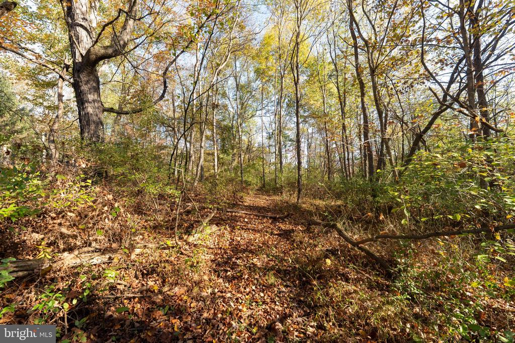 Wooded property with a leaf-covered path winding through mature autumn trees.