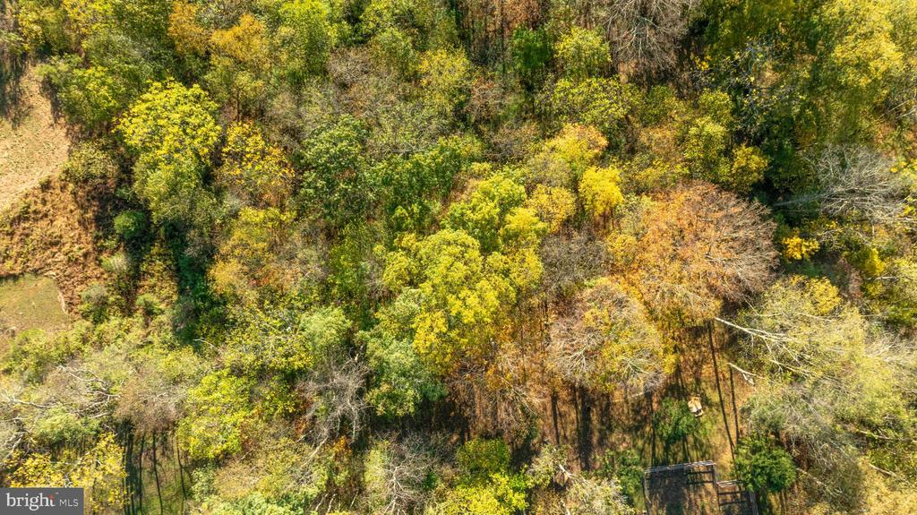 Aerial view of wooded land with autumn foliage and a small fenced area.
