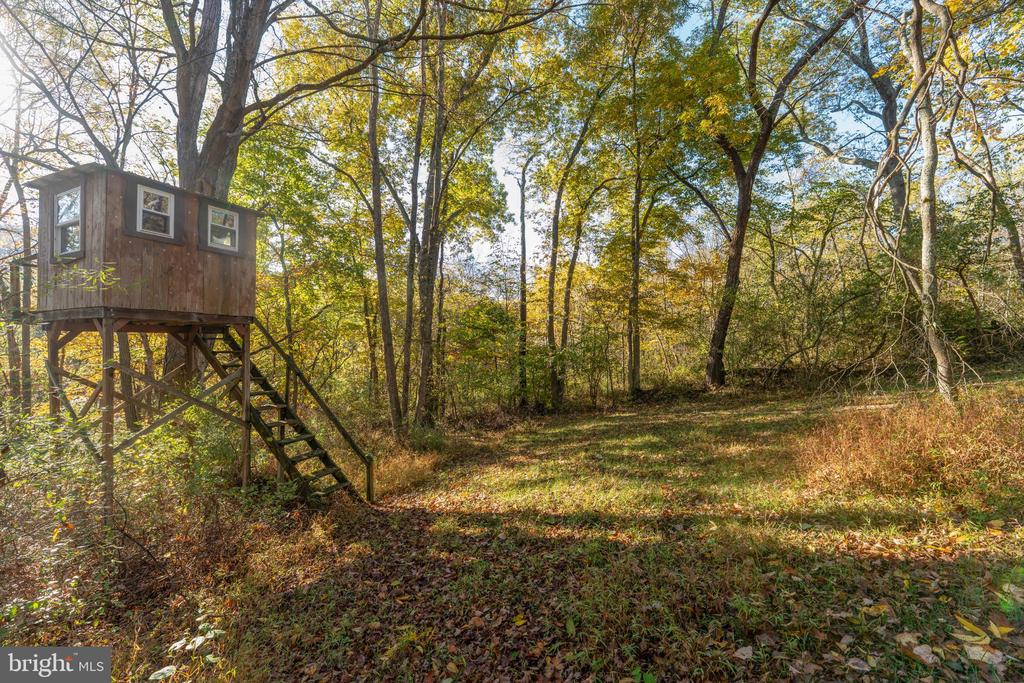 Wooded property with a raised wooden treehouse and stairs among autumn trees.