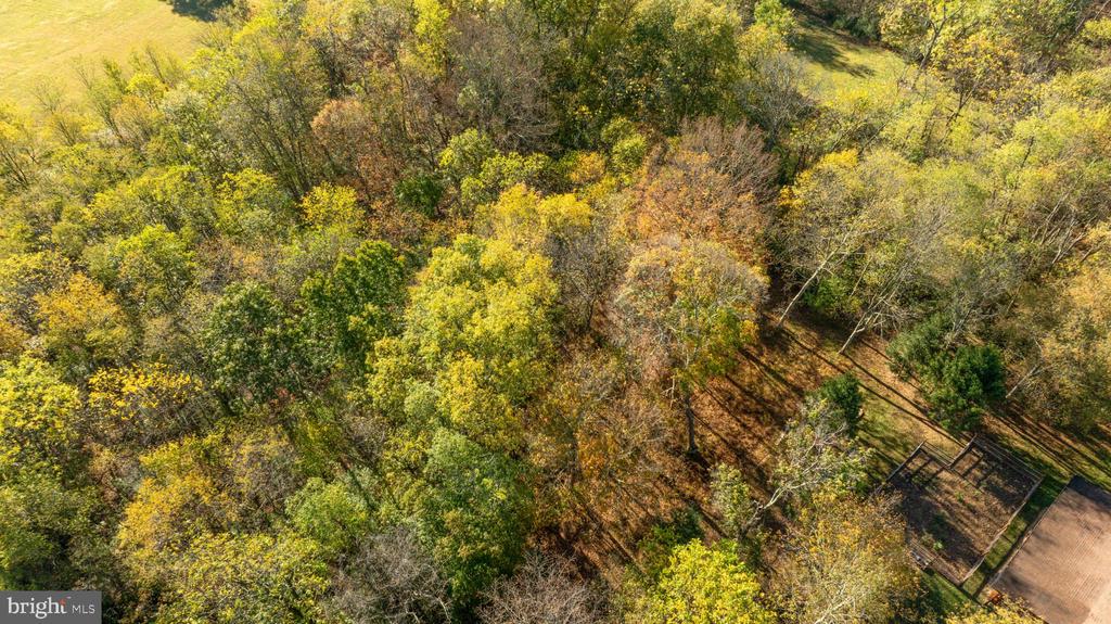 Aerial view of dense autumn woodland with a small clearing and fencing beside pavement.