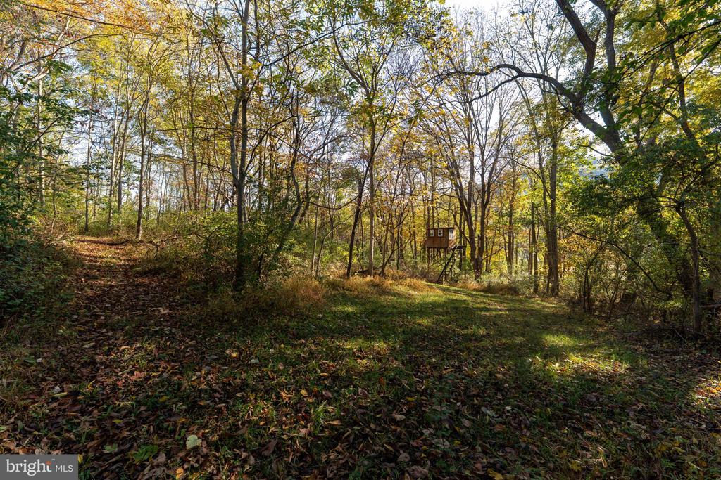 Wooded property with a leaf-covered clearing and an elevated hunting stand among autumn trees.