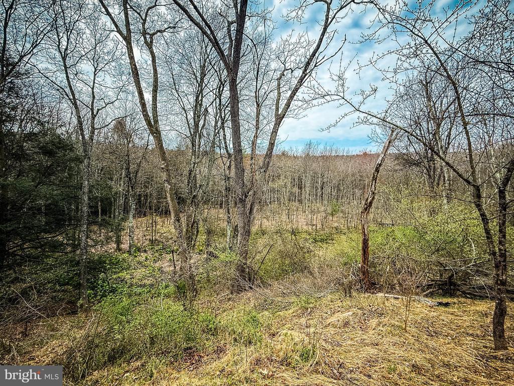 0 PINE HILL ROAD
