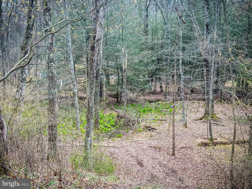 0 PINE HILL ROAD