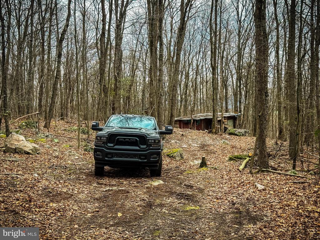 Wooded property clearing with a pickup truck and small weathered shed among leafless trees.