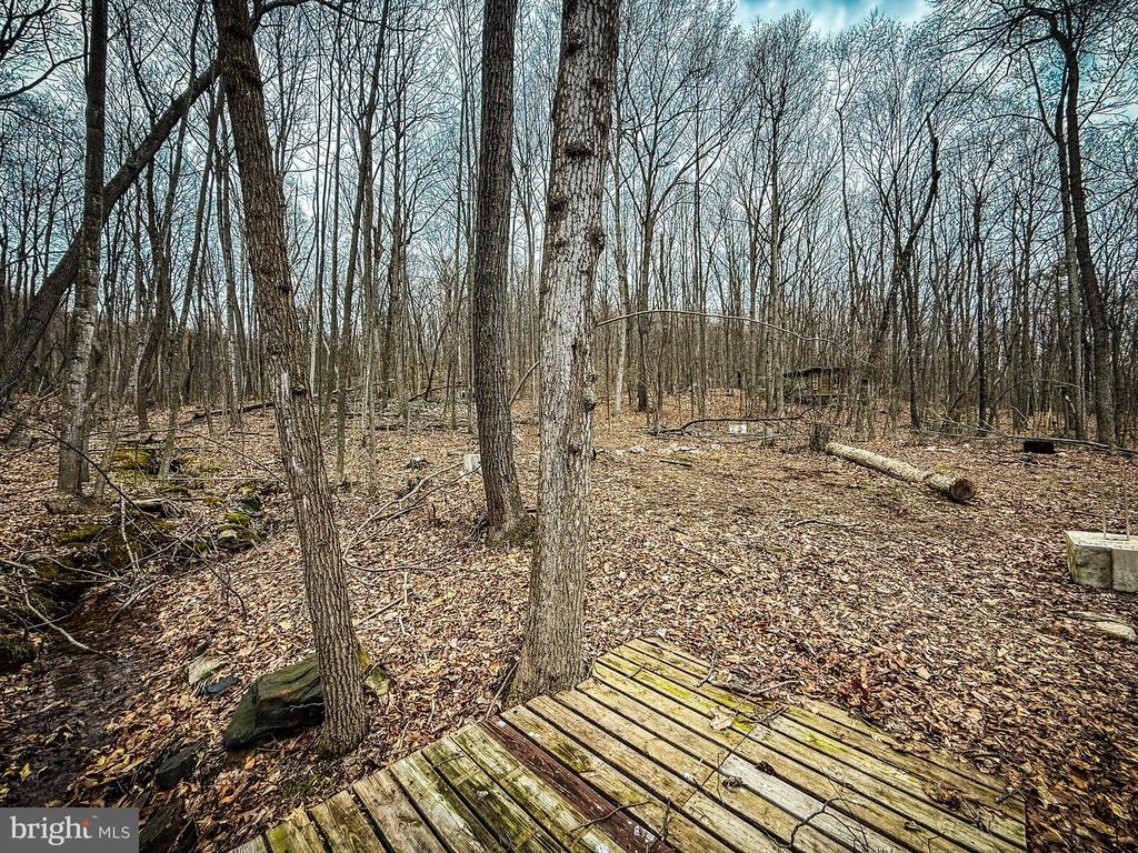 Wooded property with leaf-covered ground and a small weathered wooden platform.