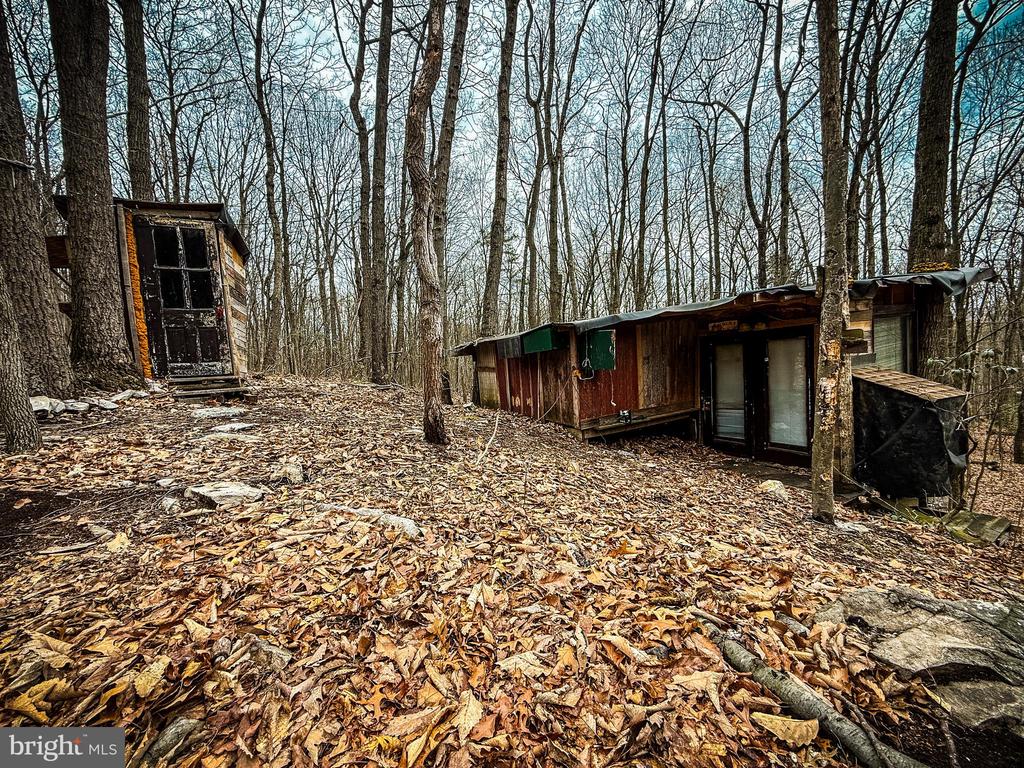 Rustic wooden cabin and detached shed among leafless trees on a leaf-covered wooded lot.