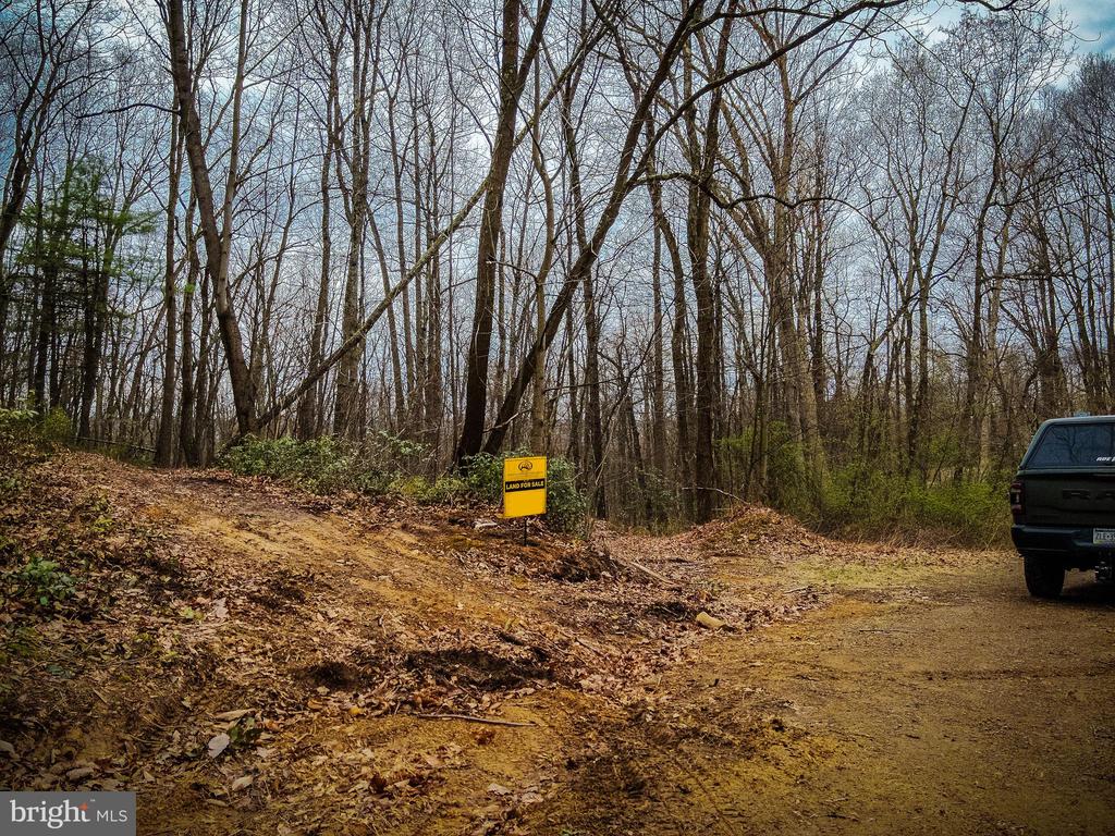 Wooded vacant lot with a yellow land-for-sale sign beside a dirt entrance.