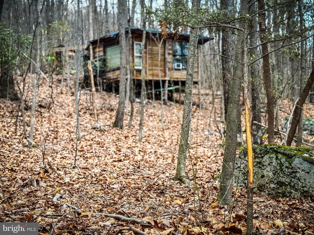 Elevated wooden cabin among autumn trees, partly screened by trunks and a large foreground rock.