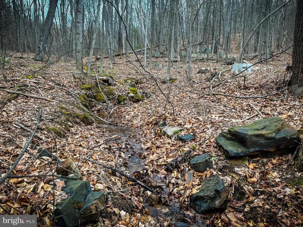 Wooded property with a rocky drainage channel winding through fallen leaves and bare trees.