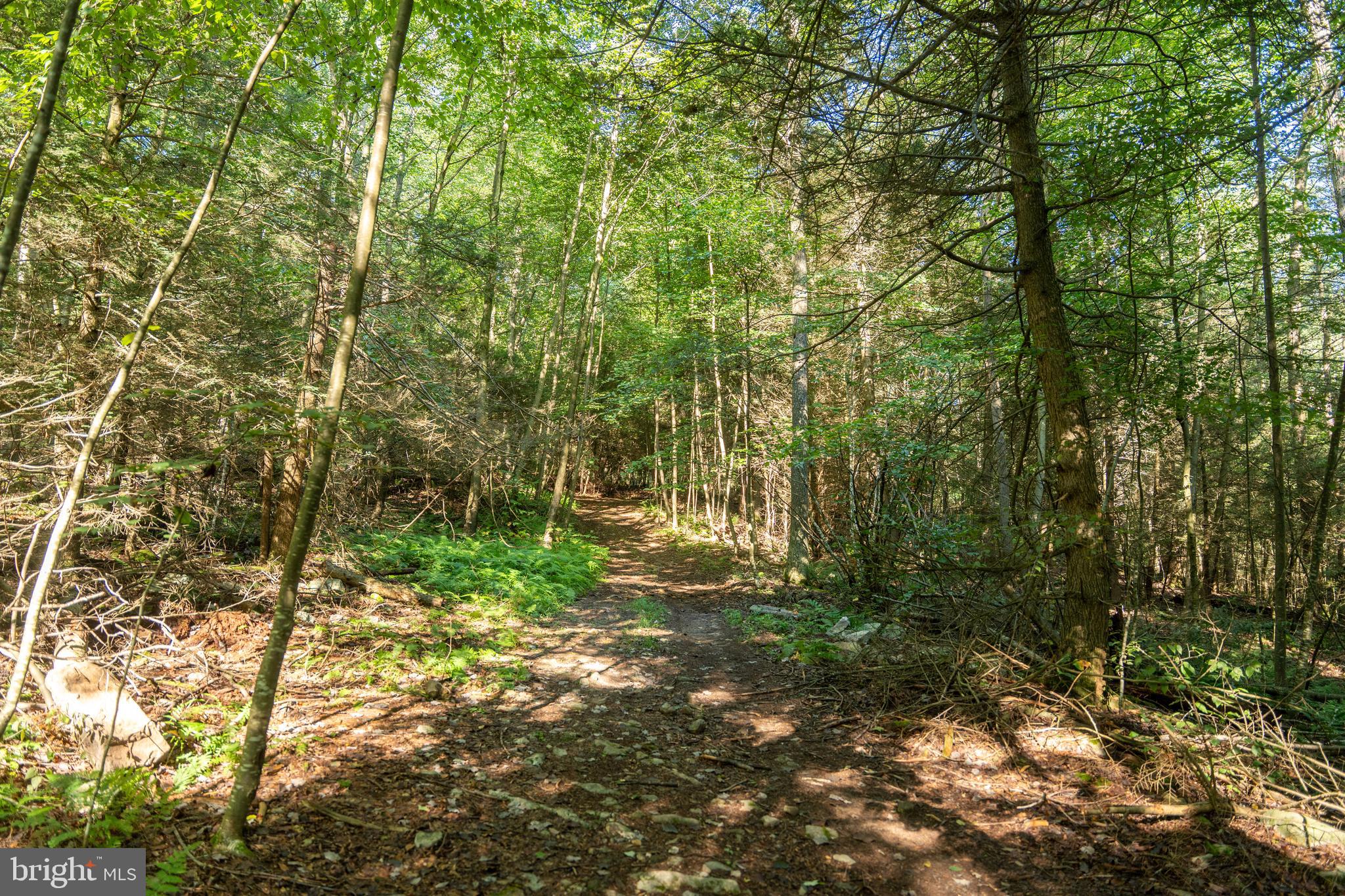 10400 FORT ROBINSON ROAD