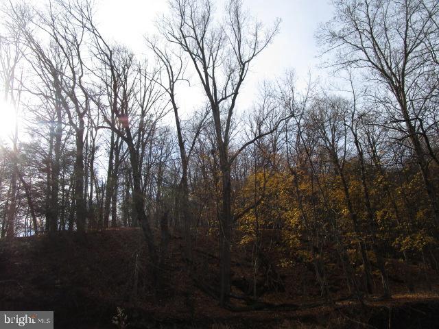0 PINES ROAD