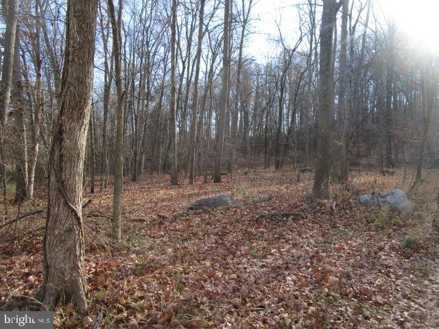 0 PINES ROAD
