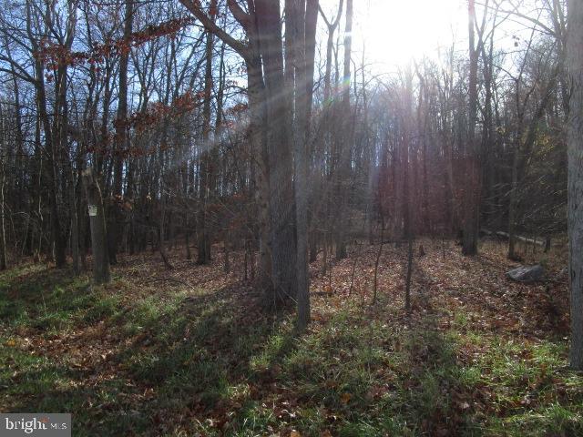 0 PINES ROAD