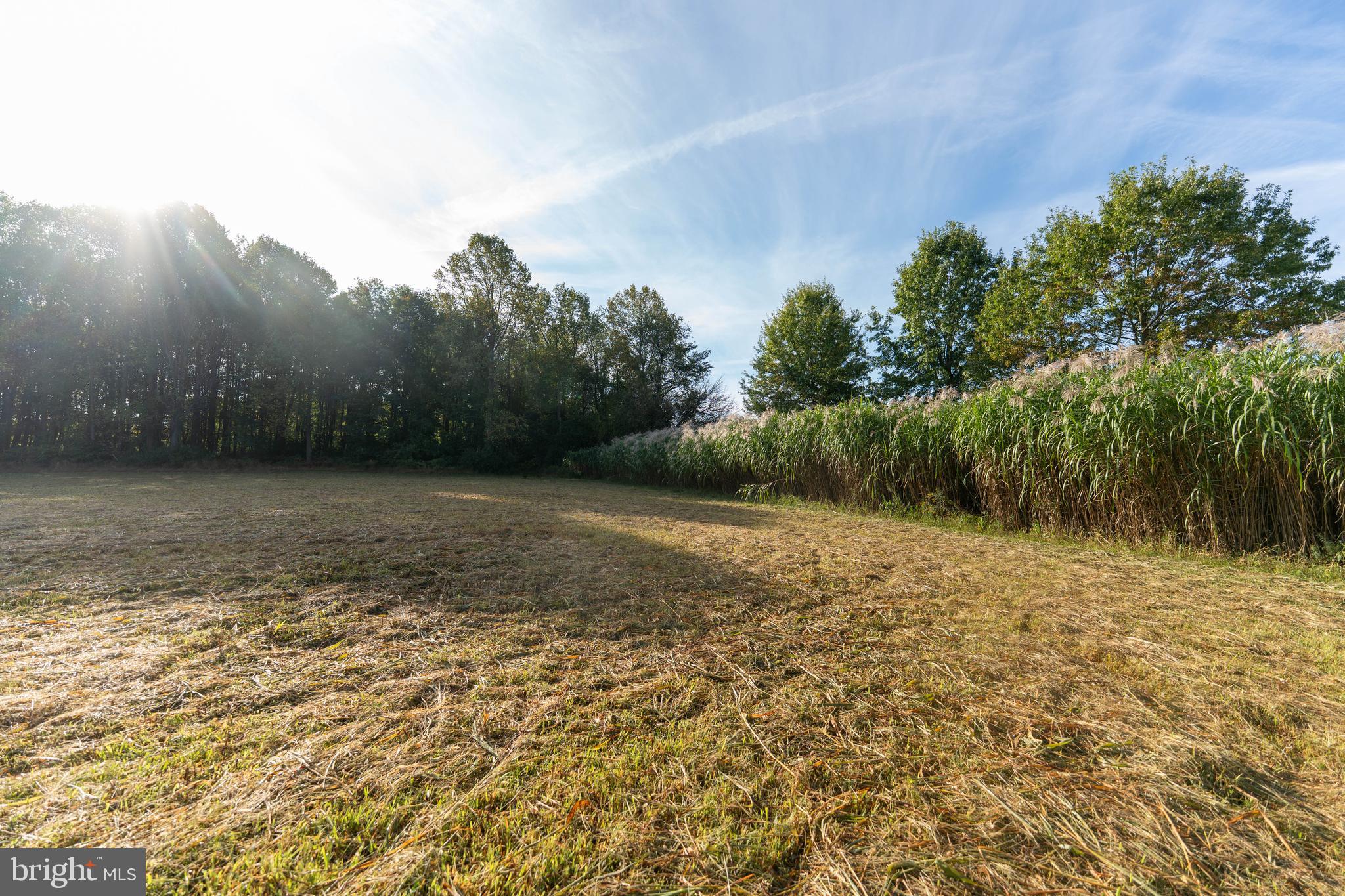 3446 BRENNEMAN ROAD