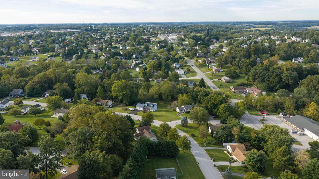 Aerial view of a leafy neighborhood with detached homes and tree-lined streets.