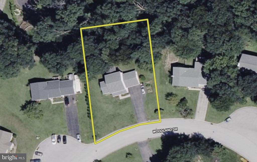 Aerial view of 73 Woodland Drive, its yellow-outlined lot, house, driveway, and surrounding trees.