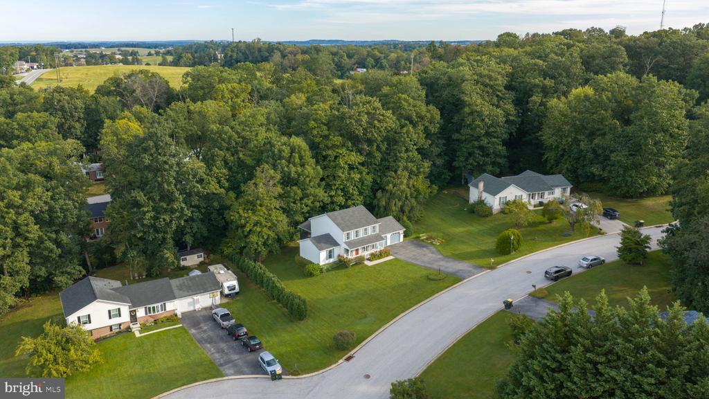 Aerial view of homes along a curving street, bordered by mature trees and open fields.