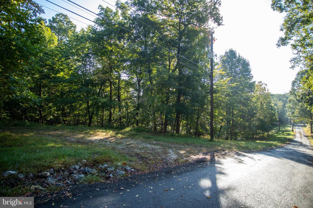 Wooded vacant lot with a grassy clearing beside a paved road and overhead utility wires.