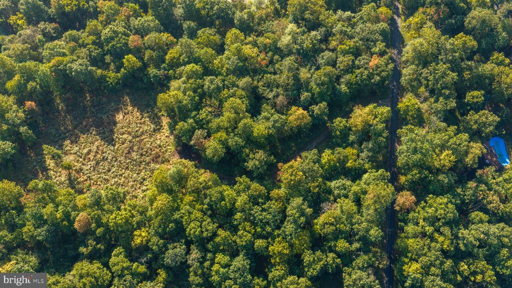Aerial view of a wooded property with a central clearing and a narrow road through the trees.