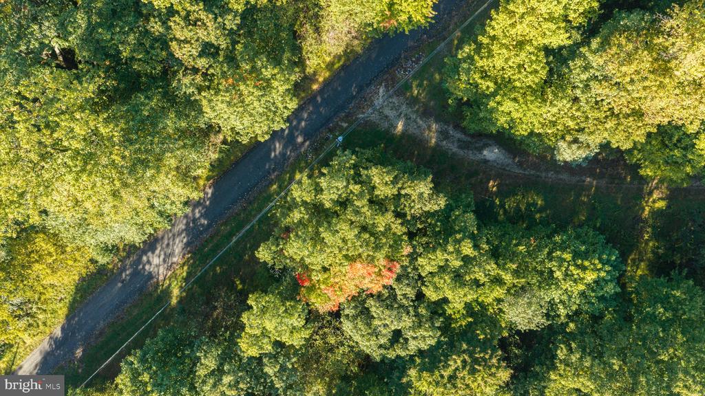 Aerial view of wooded land beside a narrow paved road, with a small patch of orange-red foliage.
