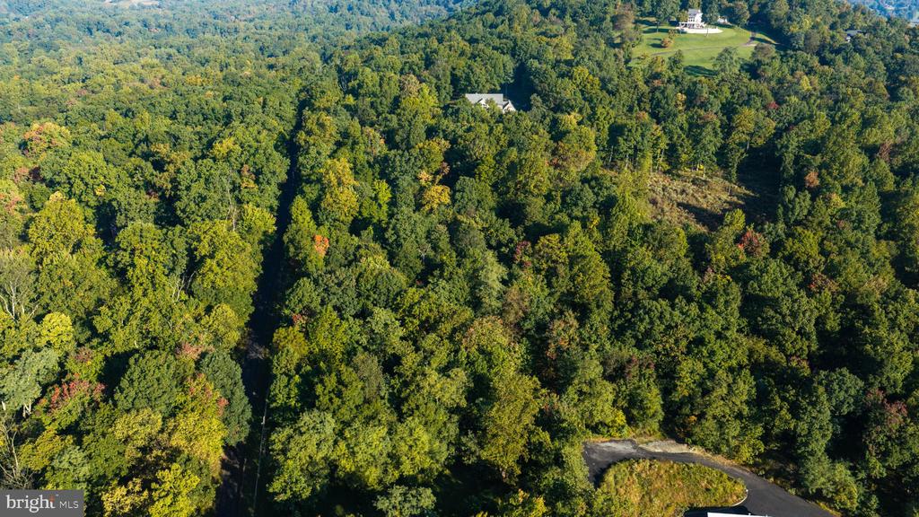 Aerial view of wooded land with a paved driveway and distant homes.