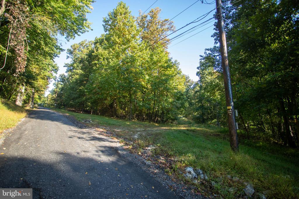 Wooded vacant lot beside a paved road, with a grassy clearing and utility pole.