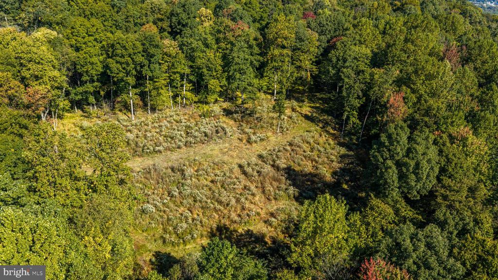 Aerial view of a grassy clearing surrounded by dense woodland.
