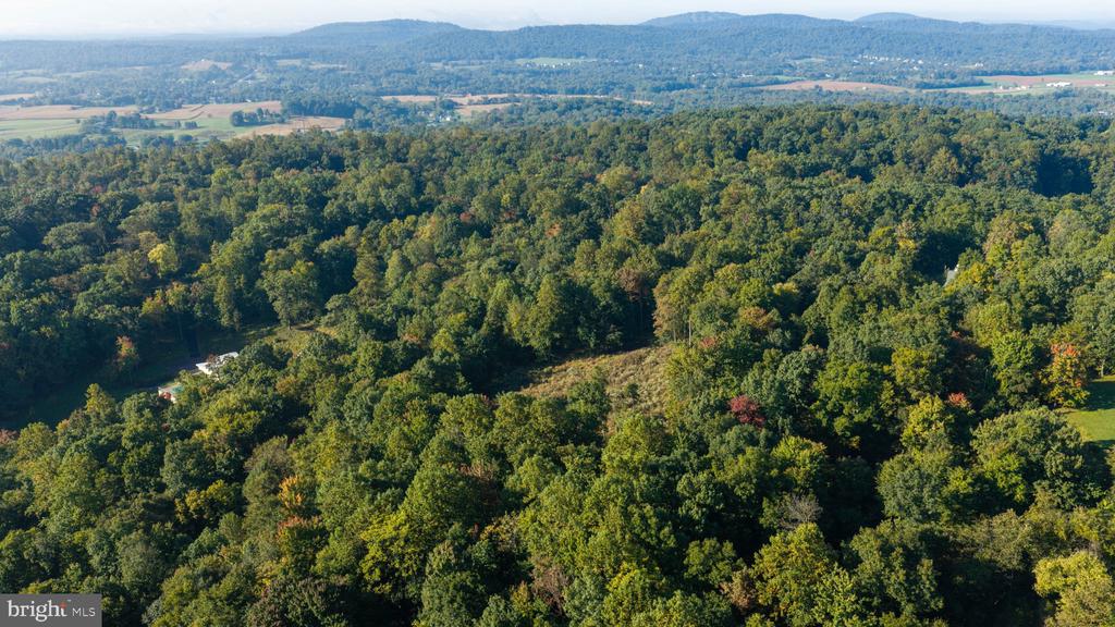 Aerial view of a heavily wooded property with distant ridges and farmland.