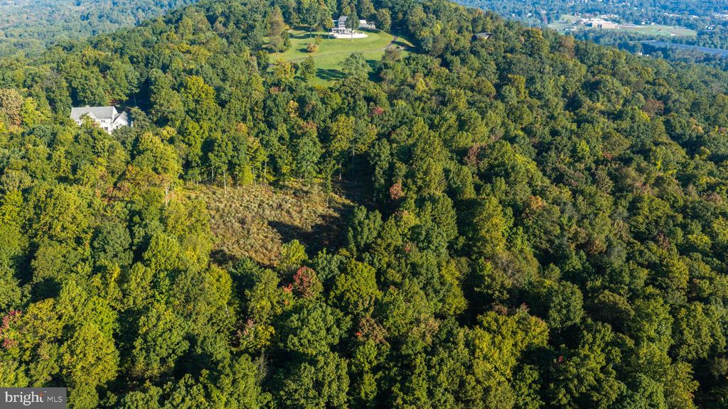 Aerial view of wooded land with a broad clearing and nearby homes.