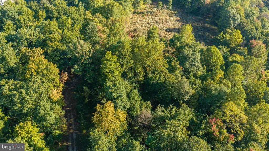 Aerial view of densely wooded vacant land with a narrow dirt track.