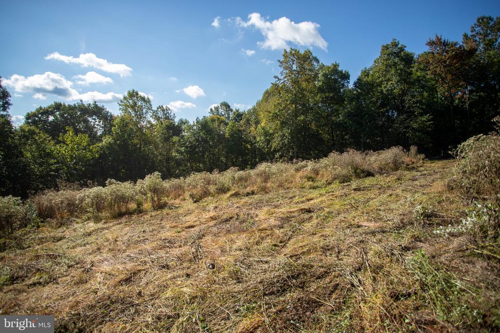 Cleared sloping lot bordered by mature trees under a blue sky.