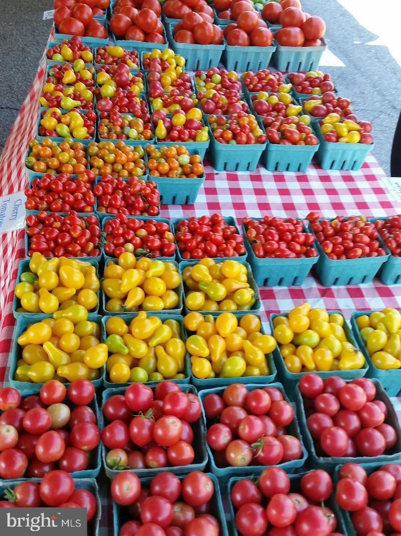 1348 UNDERWOOD STREET NW