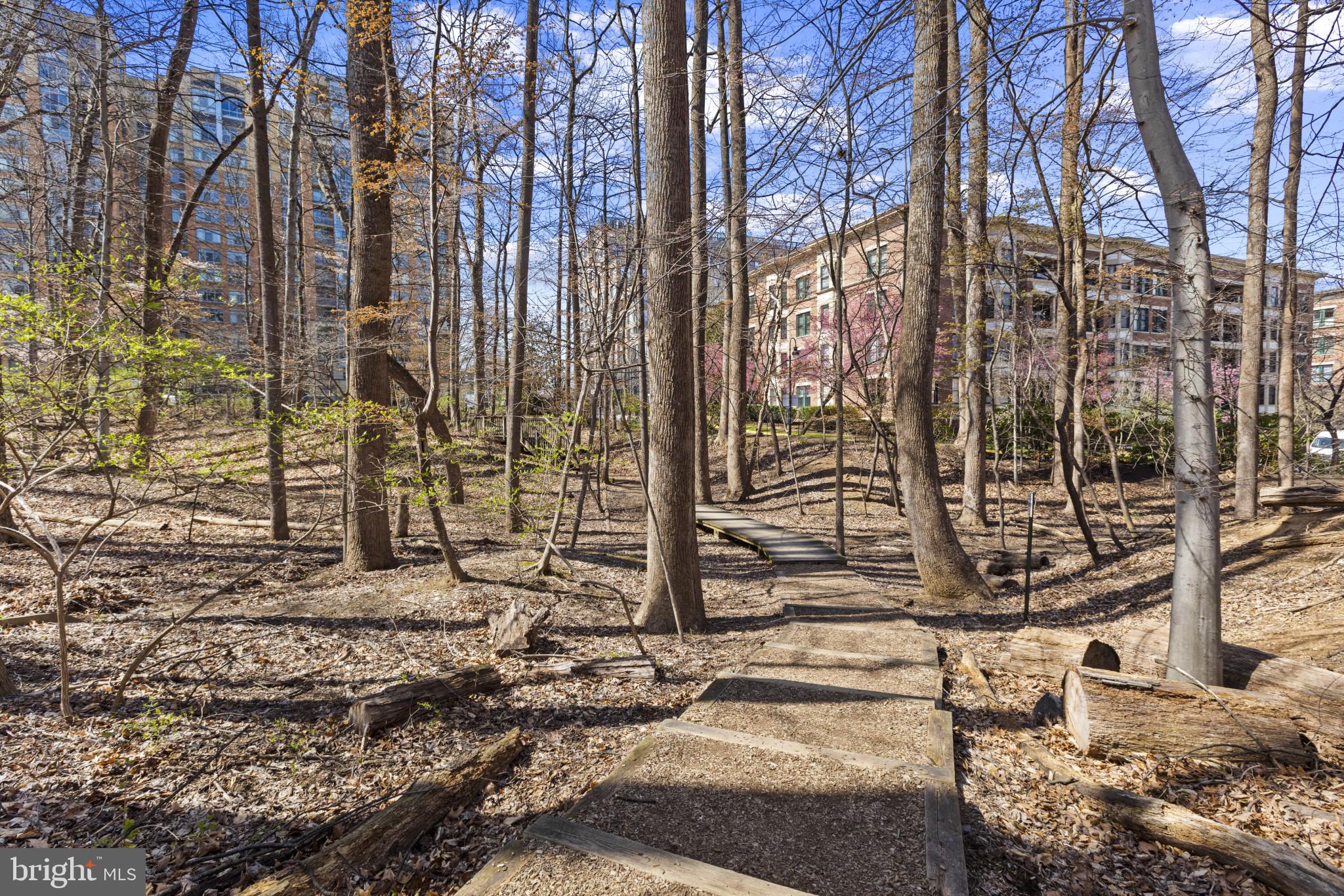 10620 WEYMOUTH STREET 1