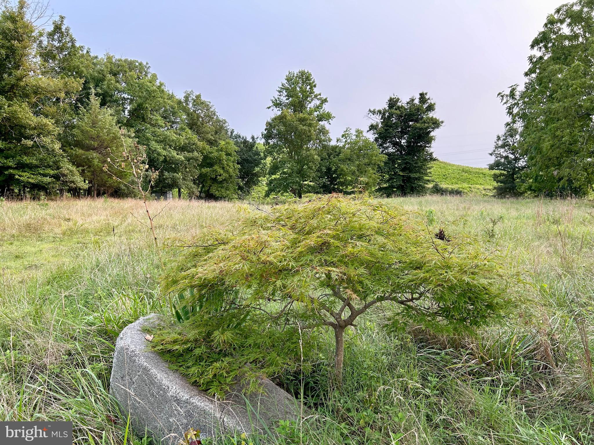 11101 CROSS ROAD TRAIL