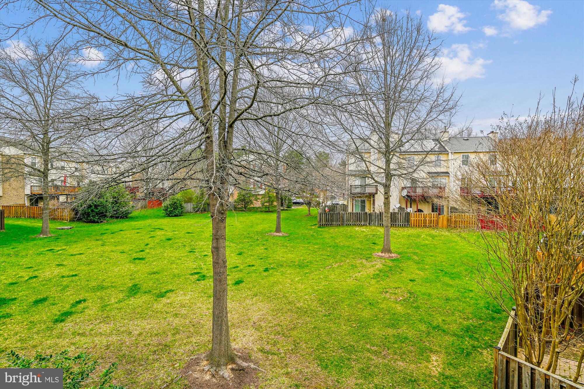 3920 Elite St