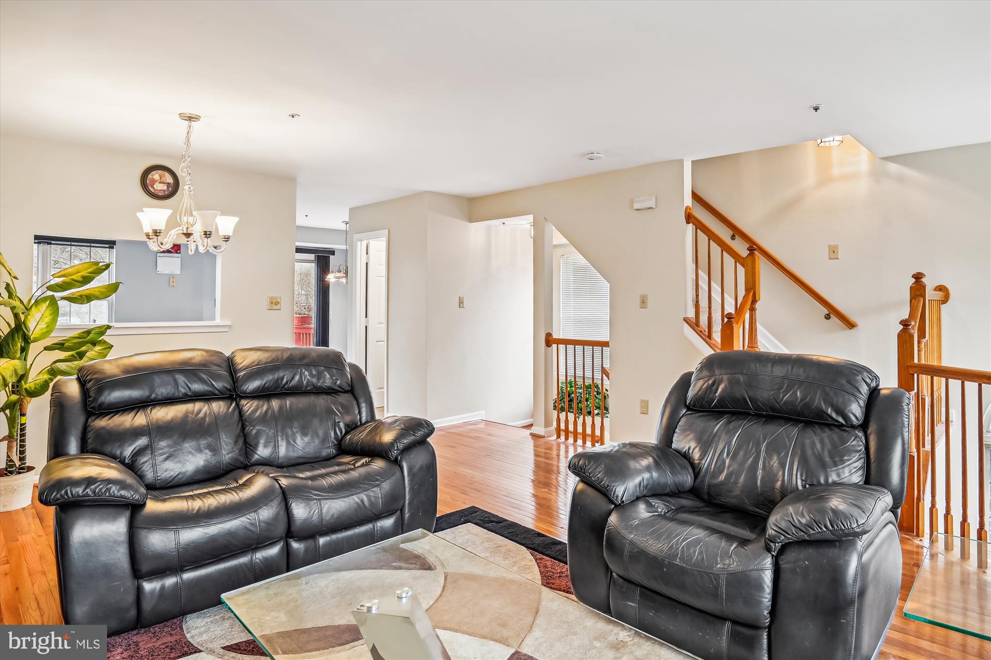 3920 Elite St