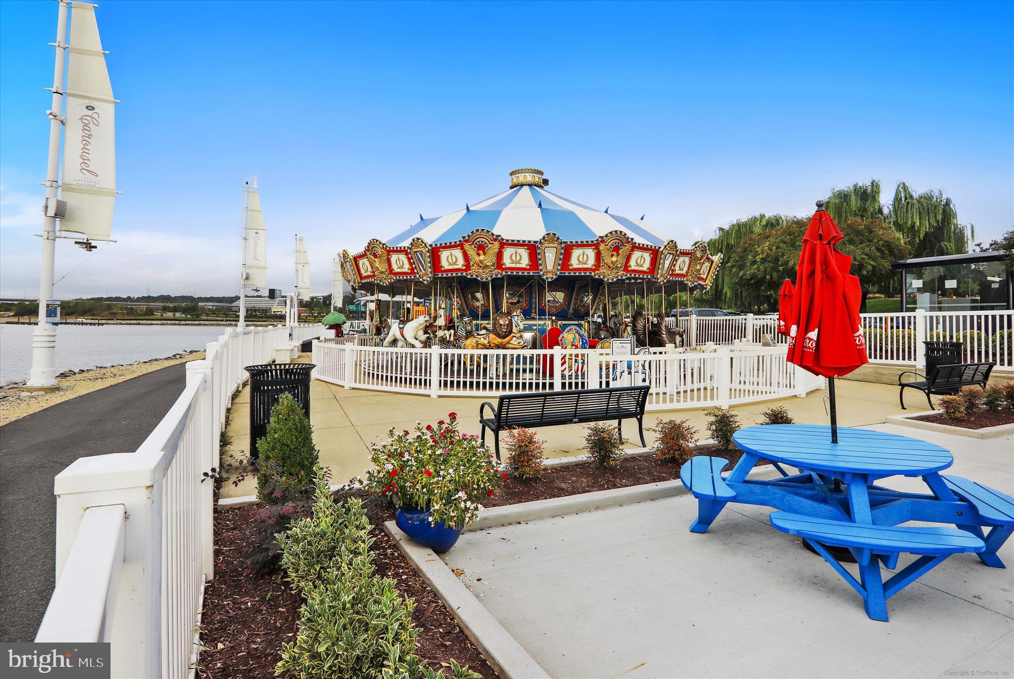 104 SAINT IVES PLACE #209