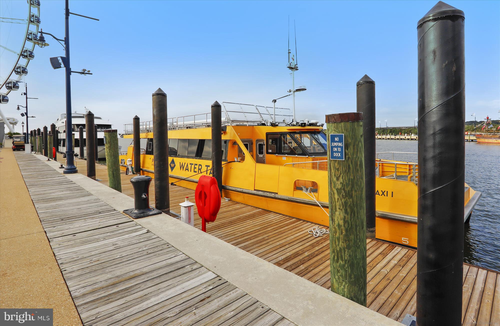 104 SAINT IVES PLACE #209