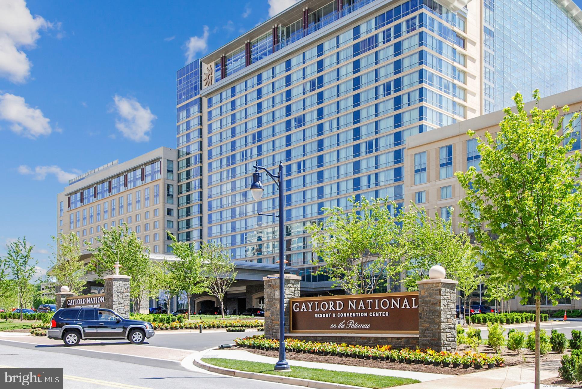 104 SAINT IVES PLACE #209