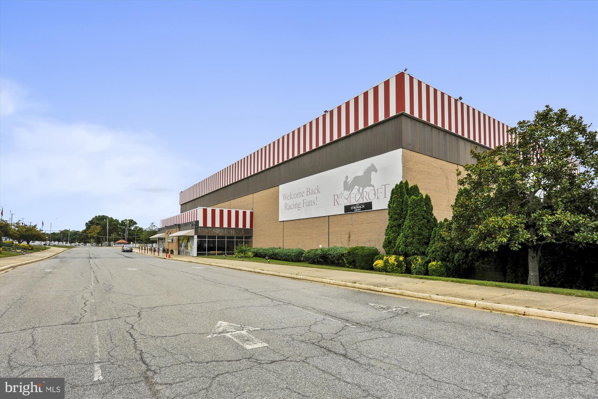 104 SAINT IVES PLACE #209