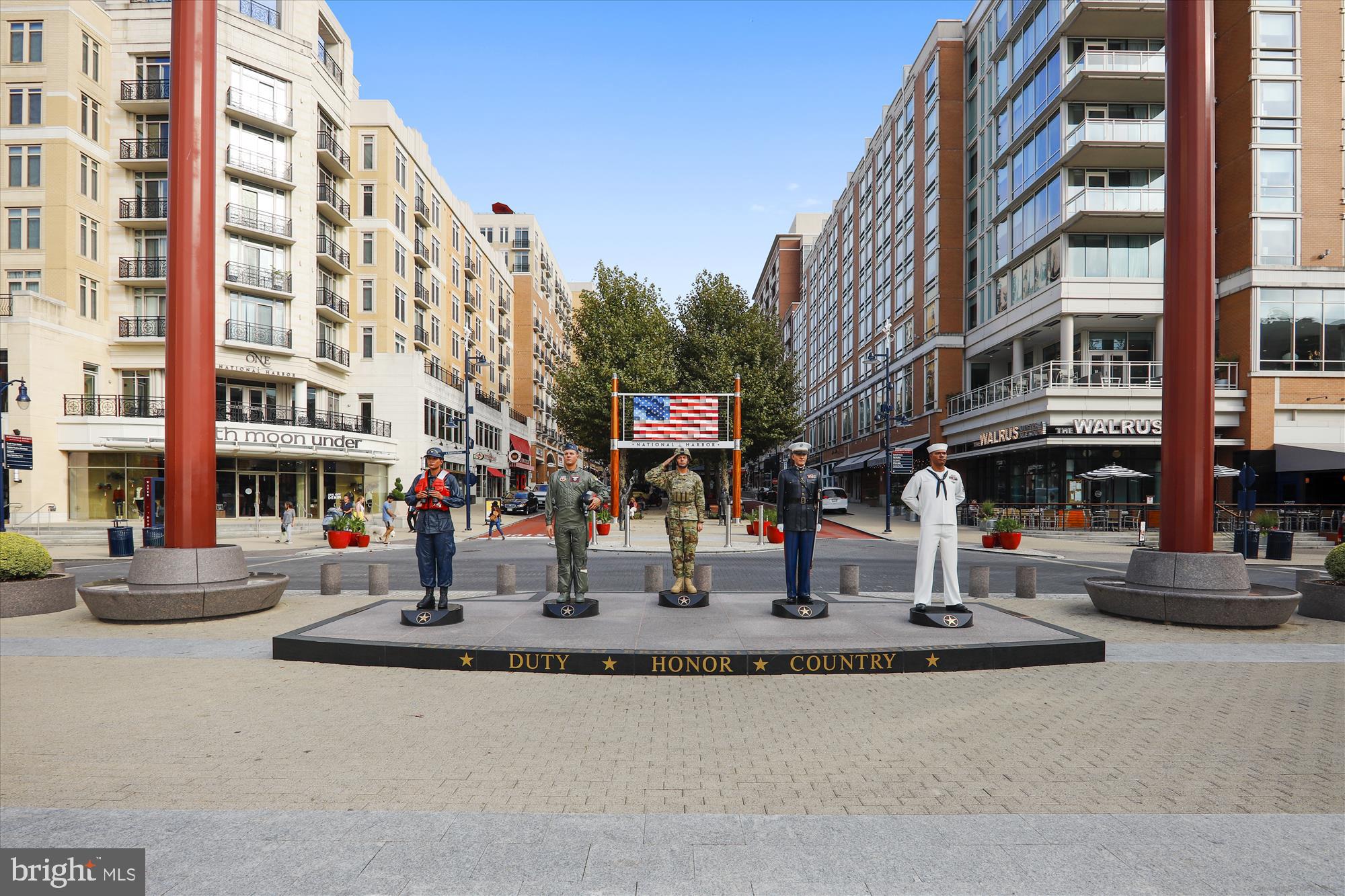 104 SAINT IVES PLACE #209