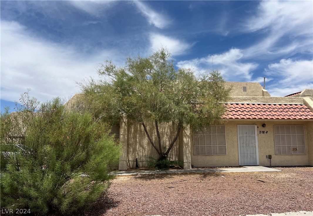 2028 Venus #101 Avenue